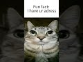 YE I DO #capcut #adresse