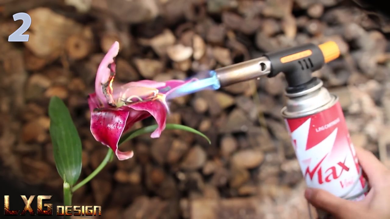 Flowers vs Gas Torch New Year 2017