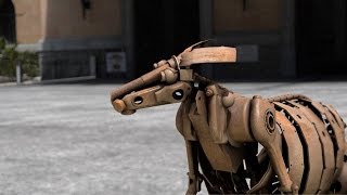 The Kangaroo Project