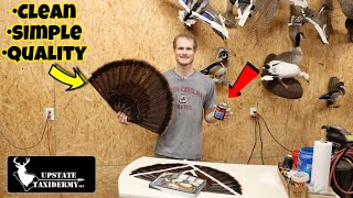How to Preserve a Turkey Fan | Professional Quality