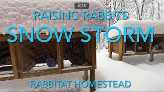 Sometimes Raising Rabbits can be a Challenge | Silver Fox Meat Rabbits
