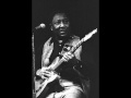 MUDDY WATERS / DUST MY BROOM