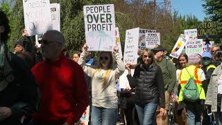 Hundreds gather in uptown Charlotte for "No Kings" protest