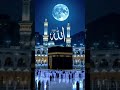Surah Fussilat | Powerful Quran Recitation That Will Touch Your Heart