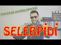 SELEBPİDİ