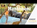 MANTOBENI HONEYGUIDE (SOUTH AFRICA): Luxury Safari Camp – Luxury Glamping in Manyeleti (Kruger NP)