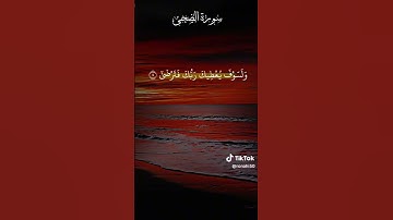 (سورة الضحى)بصوت القارئ ملا بكر الكردي🤍💞