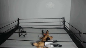 WSW - Triple Jump Moonsault