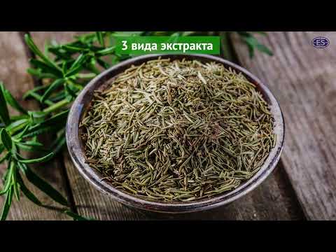 Натуральные антиоксиданты