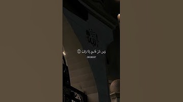 ياسر الدوسري  سورة الفلق