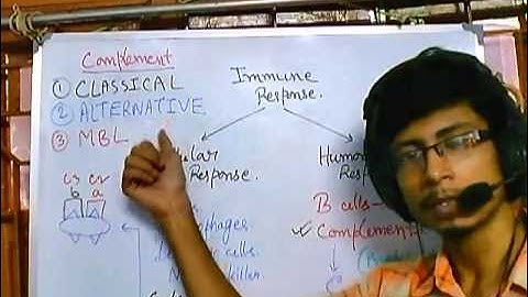 Complement system part 1 (introduction)