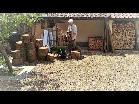 Video: Apakah larch kayu bakar yang baik?