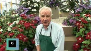 20 second tips - Choosing Clematis with Ray Evison - RHS Chelsea Flower Show - BBC Two