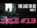 Смотрим игрофильм х4, спасаем зебру, цикл мести | The Last Of Us: Part 2 #13