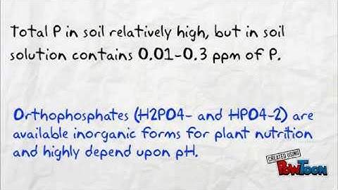 Soil Phosphorus Test