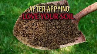 Jonathan Green s New American Lawn Plan BestYardTips