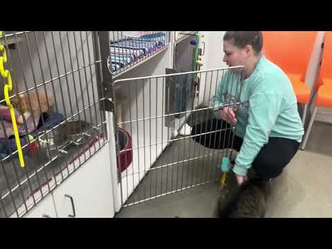 Rocket Launch Failure #animation#rocket#explosion