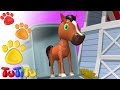 TuTiTu Animals | Animal Toys for Children | Horse