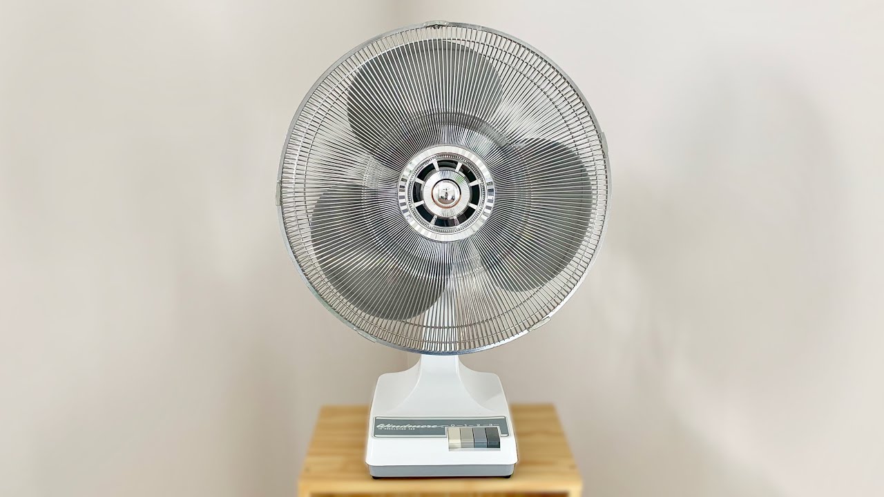 Вентилятор модель fa-1800. Ventilateur 540. Danmi вентилятор. Round Vintage Floor Fan. 2020 fan