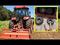 Rhino HEAVY Duty Tillers. MUST SEE! (Not click-bait...)