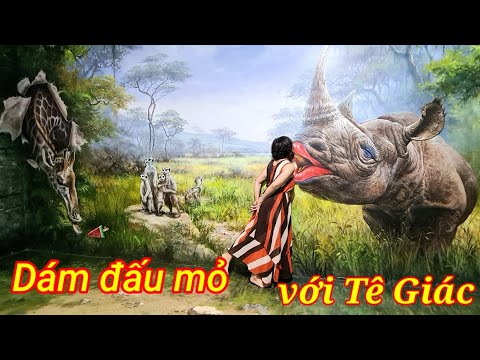 Video trải nghiệm phòng tranh 3D tại Đà nẵng - youtube