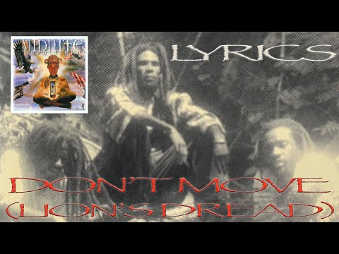 Midnite - Don't Move (Lion's Dread) (Lyrics)