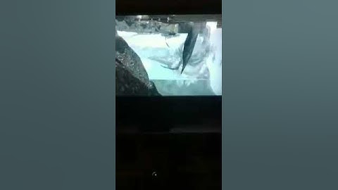 Skyrim solitude glitch