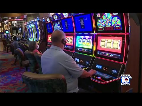 Seminole Tribe to launch in-person craps, roulette, sports betting in Florida casinos