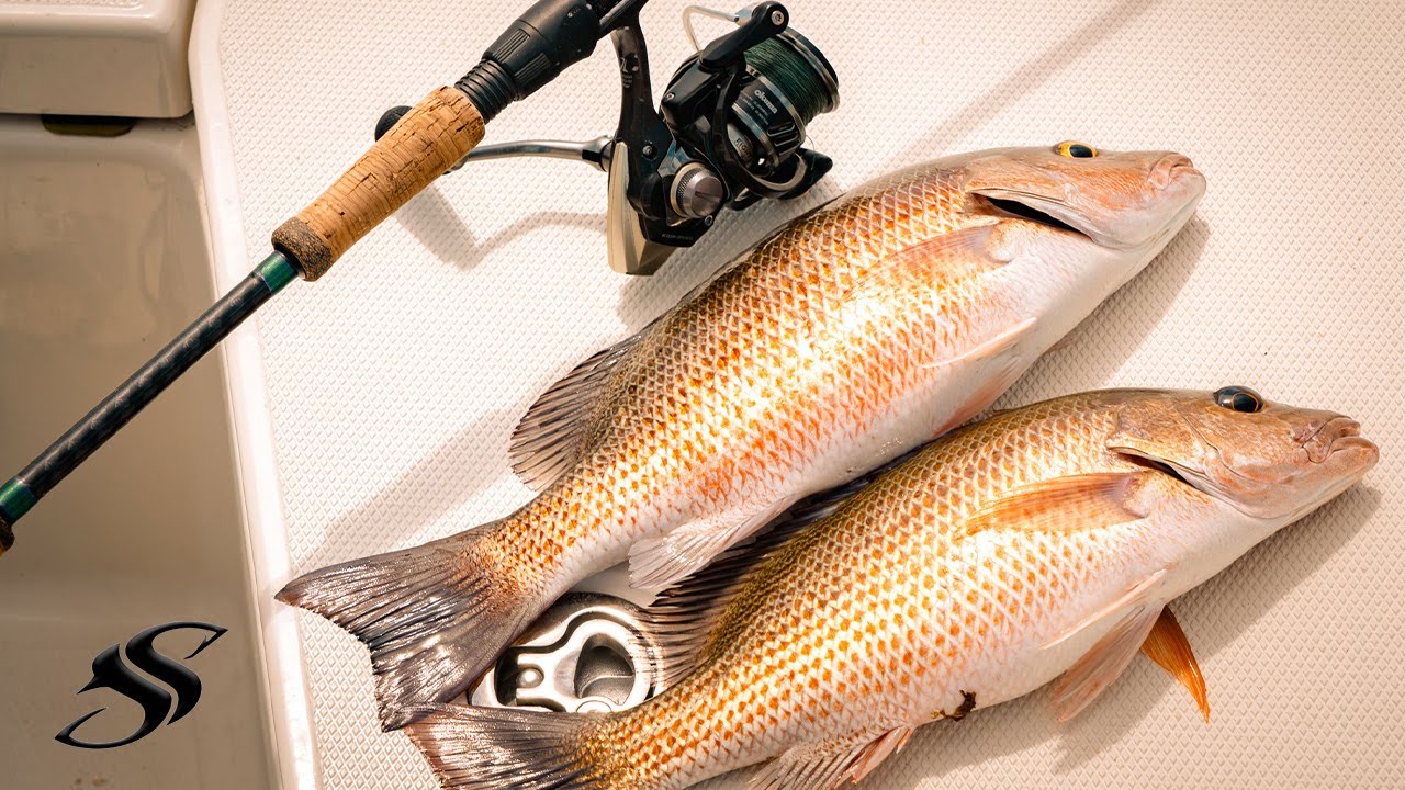 AJING FISHING, CATCHING MANGROVE SNAPPERS USING SUPERCONTINENT SOFT LURE