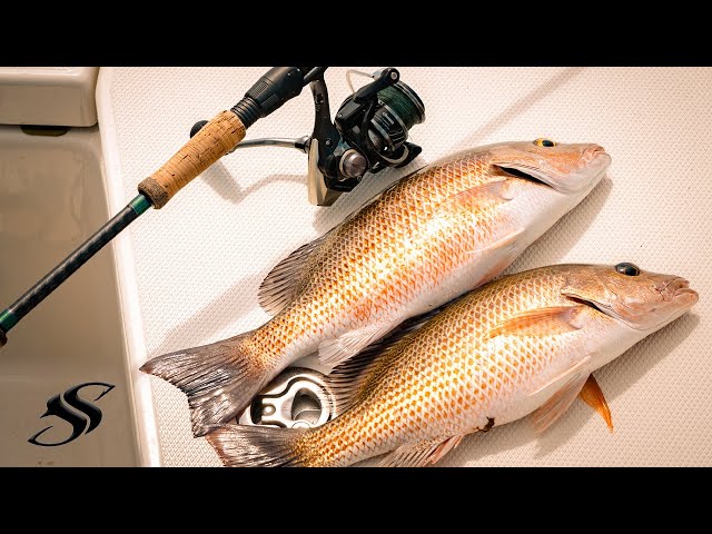 Top FOUR Mangrove Snapper Fishing Rigs + CATCHING Technique! 