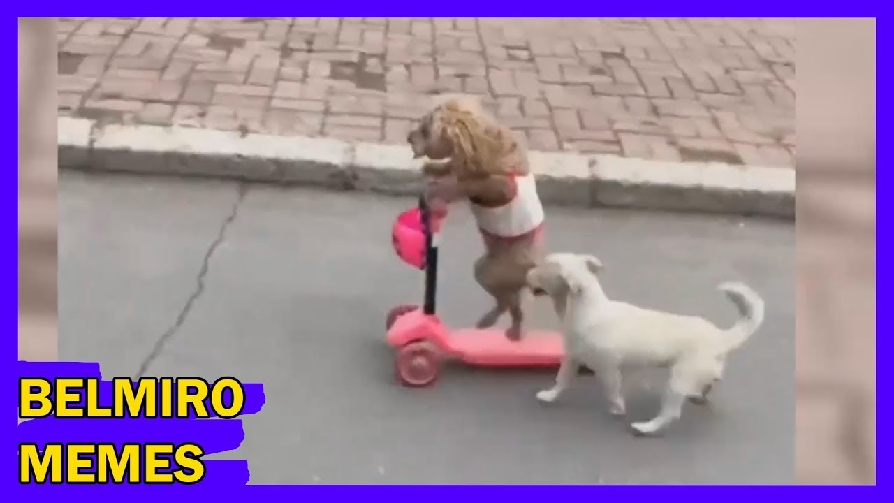 Belmiro Memes: Melhores dublagens engraçadas da semana 83