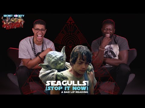 seagulls!-stop-it-now-reaction