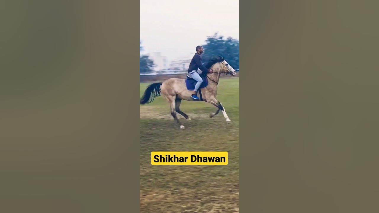 Shikhar Dhawan funny shorts aakash chopra rj raunac no po star