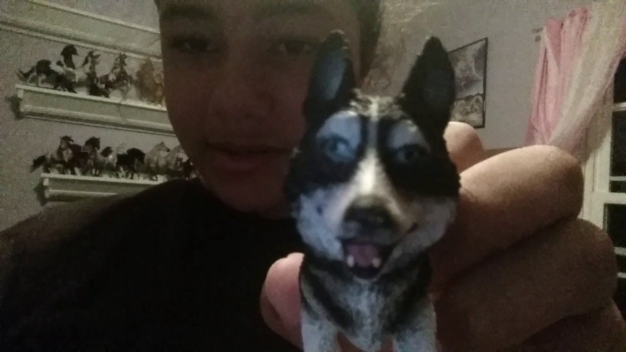 CollectA dog unboxing. YouTube