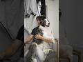 犬と二人暮らし退社後ルーティン