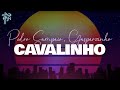 Miniature de la vidéo de la chanson Cavalinho (Feat. Gasparzinho And Mc Meno K)