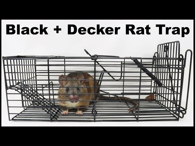 Best Cage Style Trap I have Ever Seen - Black+Decker Trap Catches Rats &  Squirrels. Mousetrap Monday 