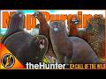 PURGING Our Map for Mink &amp; Red Grouse Trophies! | theHunter Call of the Wild