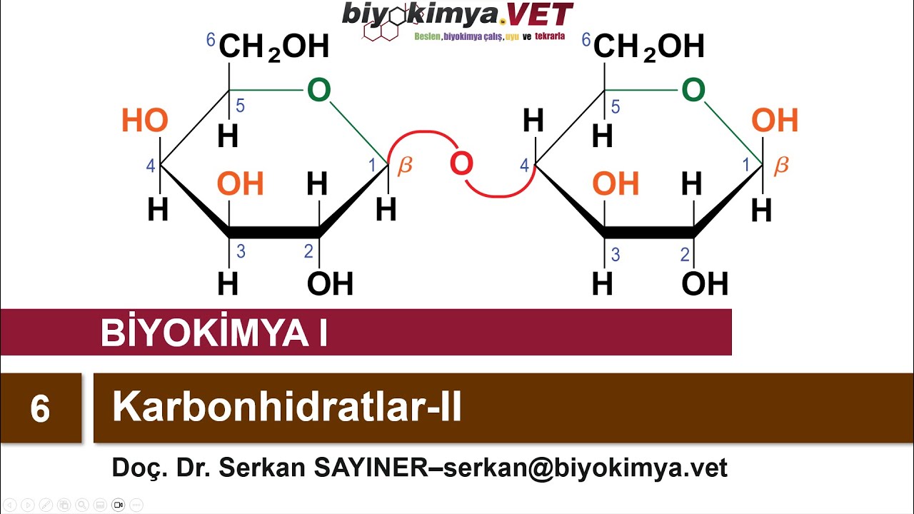 BİYOKİMYA-I | Konu 6: Karbonhidratlar-II
