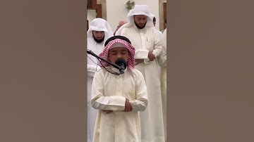تلاوة  الشبل : عثمان الحداد  ﴿فَسَجَدَ المَلائِكَةُ كُلُّهُم أَجمَعونَ﴾ #القرآن_الكريم #عثمان_الحداد