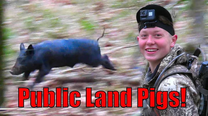 5 HOGS DOWN! Spot and Stalk Hog Hunting on Public Land with Eric's Outdoor Life
