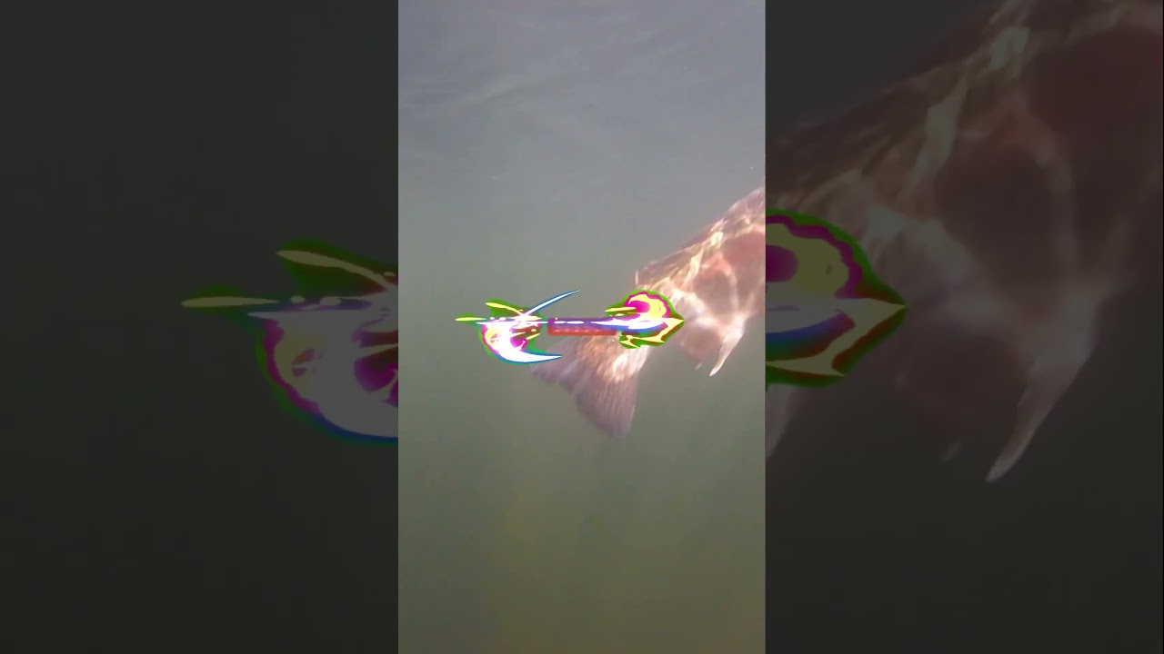 Rockbourne Net Cam chartreuse green eggy wiggle worm🎣