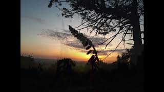 Change - Toz screenshot 3