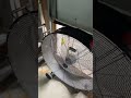 Got My New Fan 12,000 cfm