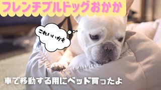 フレブルと車でお出かけする用に車用のベッド買ってみた【フレンチブルドッグ】【frenchie】454