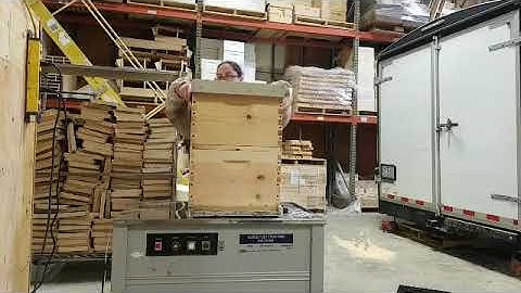 How to Set Up a 5 Frame Nuc