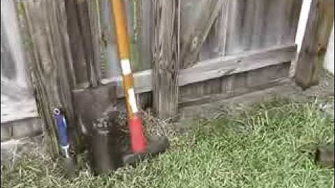 How to stop dogs digging under your fence, gate, or garden