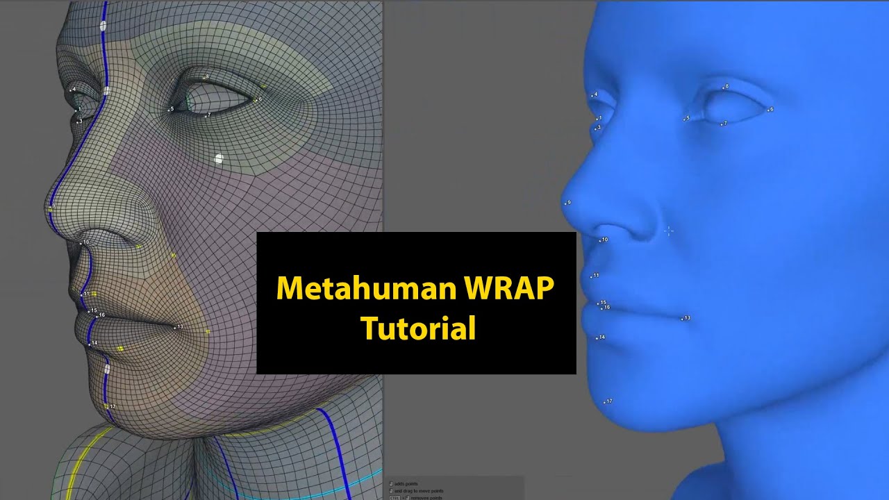 Python Wrapping Human How to WRAP your model into a Metahuman - YouTube