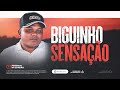 BIGUINHO SENSAÇÃO 2024 - MUSICAS NOVAS ATUALIZADO, BAIXE O CD