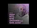 Sebb Junior - Nite Grooves (Unreleased Original Mix)